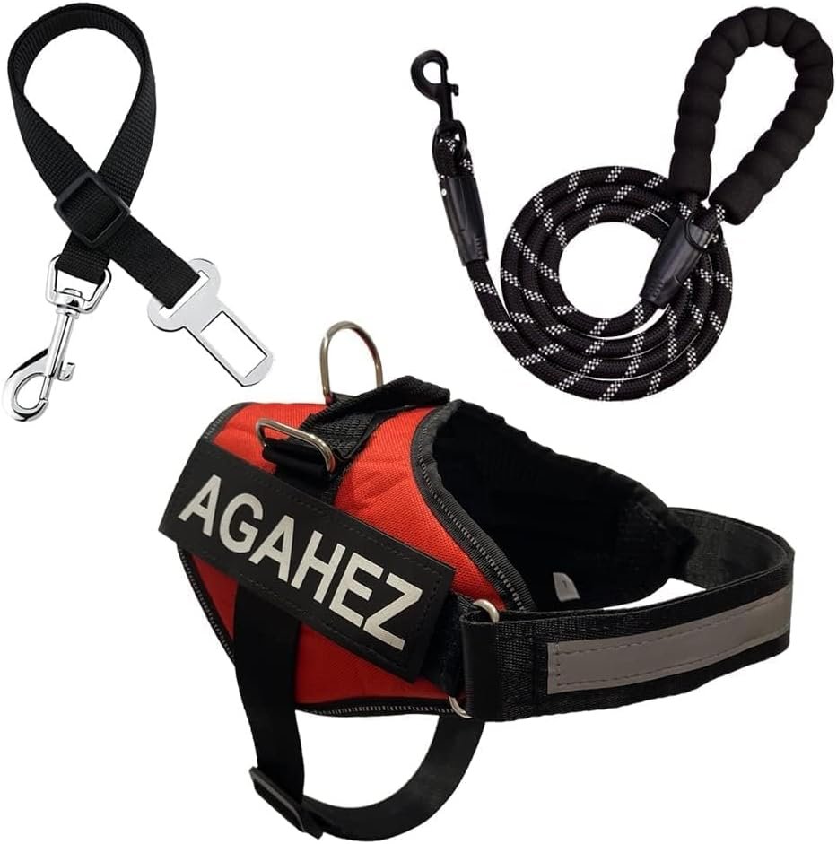 arnes seguridad