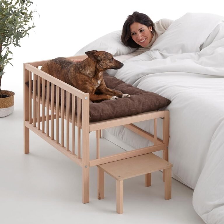 cama elevada perro