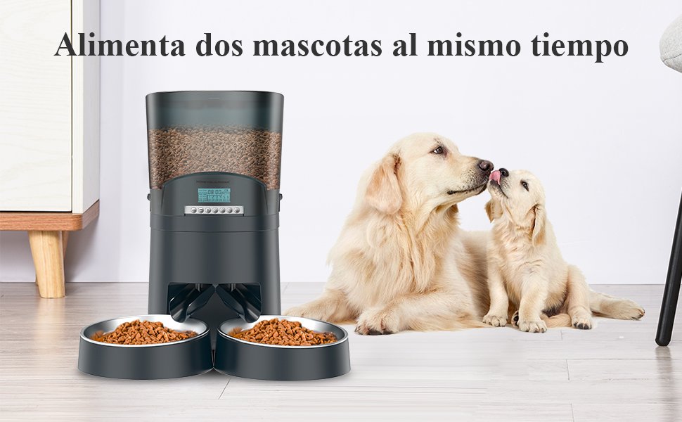 comederos inteligentes para perros