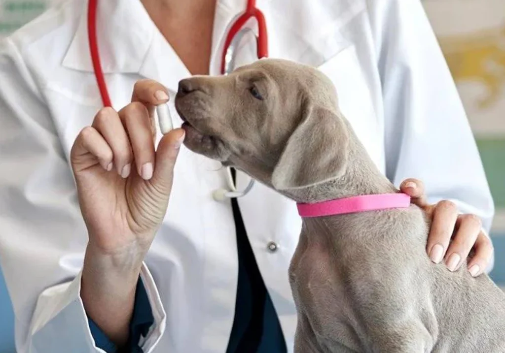 pastillas antiparasitos para perros