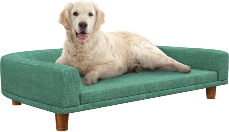 sofas perro